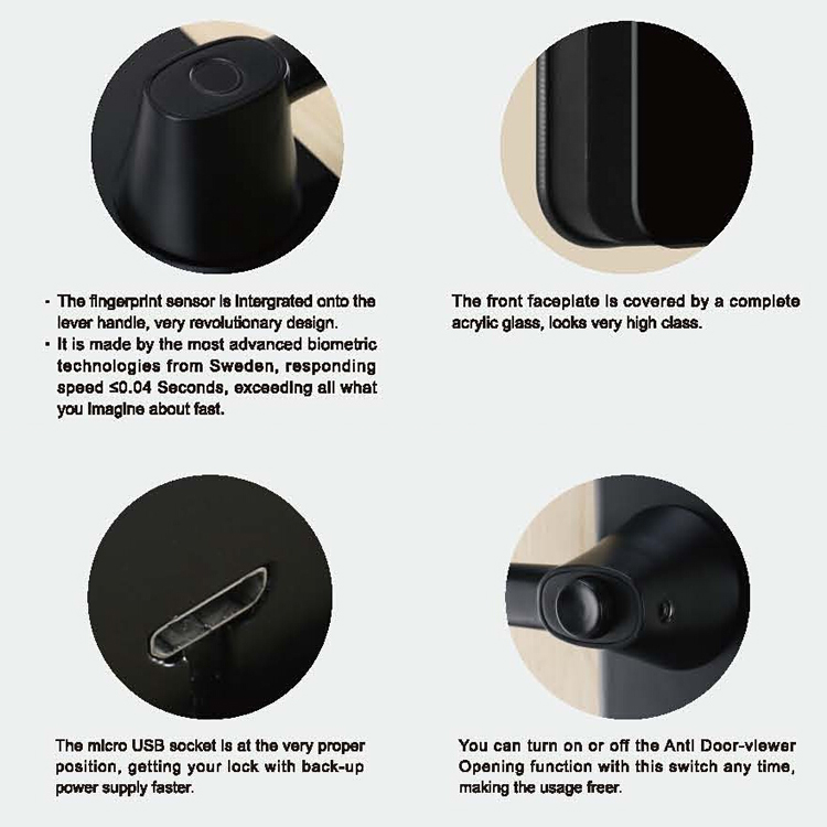 Cerradura de puerta electrónica biométrica con huella dactilar