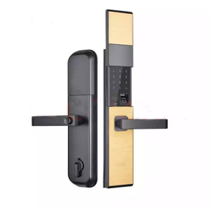 Manija de la puerta de la aleación de zinc Biométrico Huella digital Cilindro digital Acceso inteligente Cerradura de la puerta